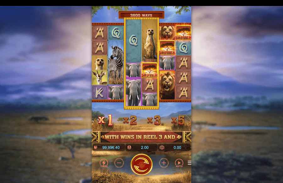 Safari Wilds slot base game 
